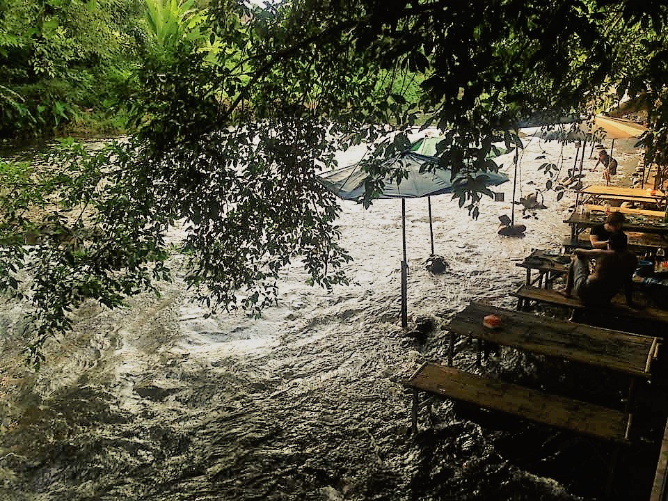  มะขามฟอเรส 
(Makham Forest)